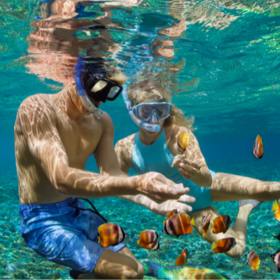 free bahamas trip
