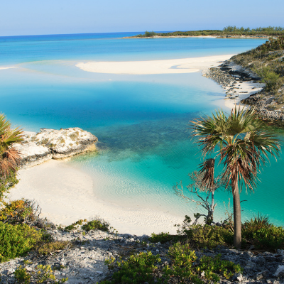 free bahamas trip